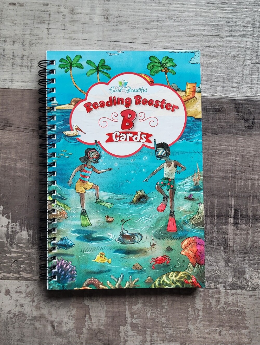 The Good and the Beautiful Reading Booster B Cards Ring Bound Elementary School
